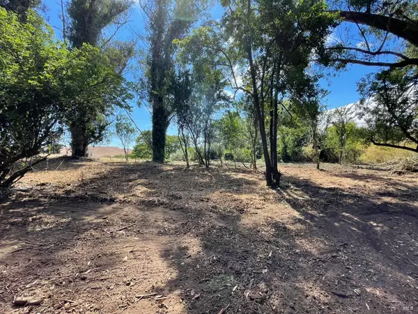 Valley Ford, CA 94972,2925 Johns ST