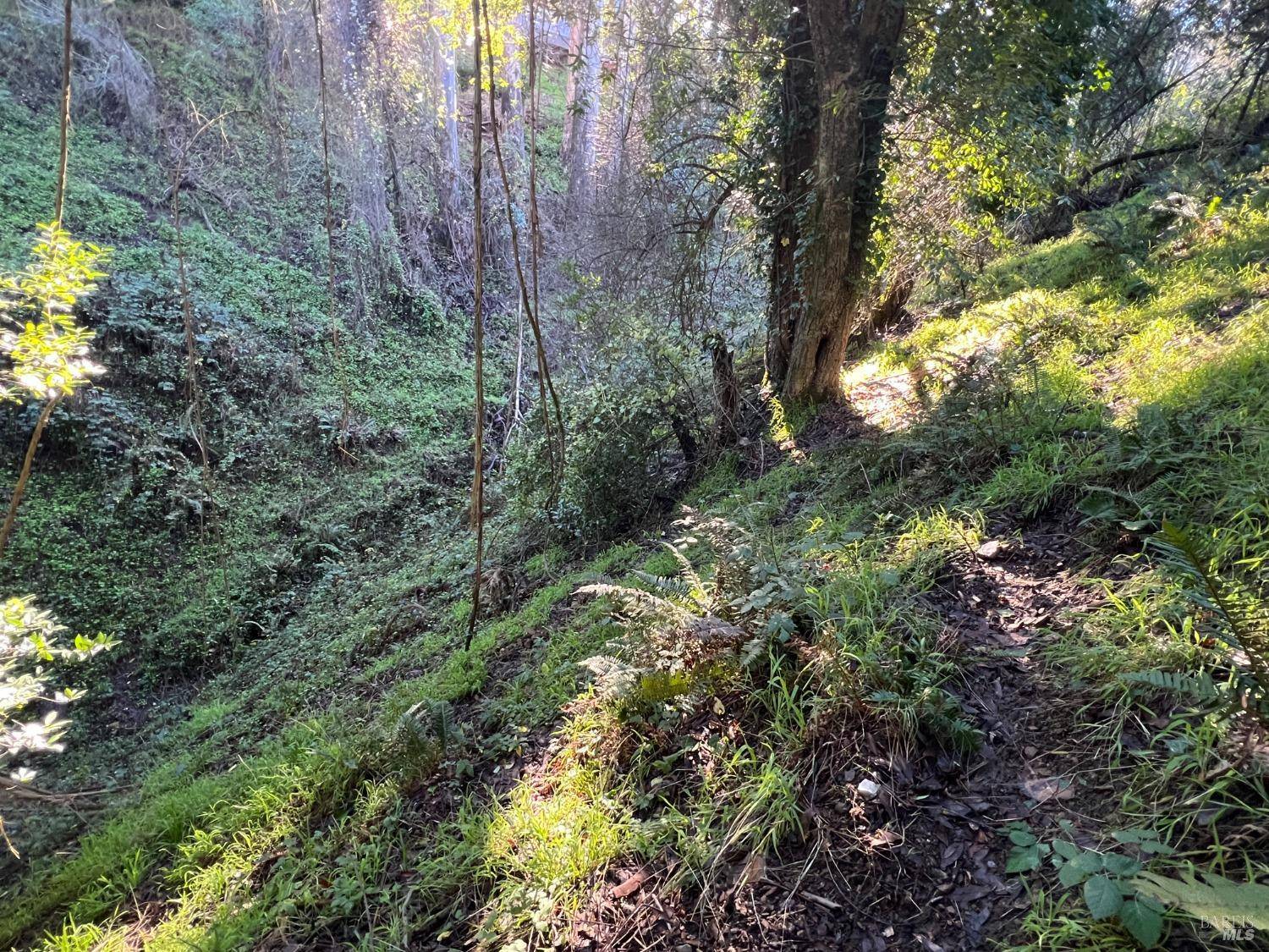 Mill Valley, CA 94901,38 Madera WAY