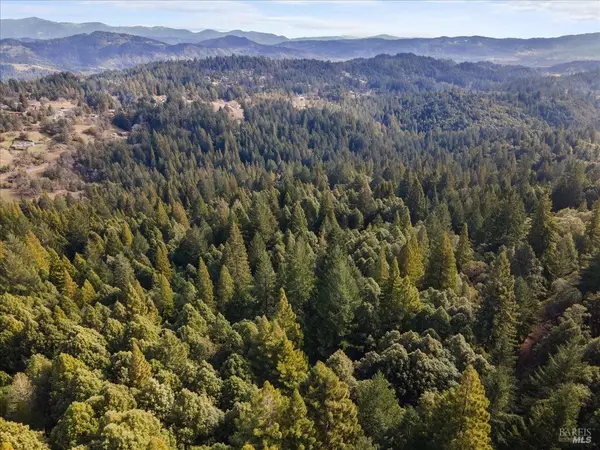 Willits, CA 95490,27303 Bear CIR