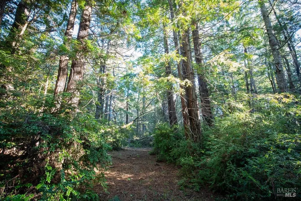 Point Arena, CA 95468,0 Zettler RD