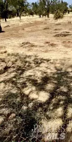 Clearlake, CA 95422,16442 15th AVE