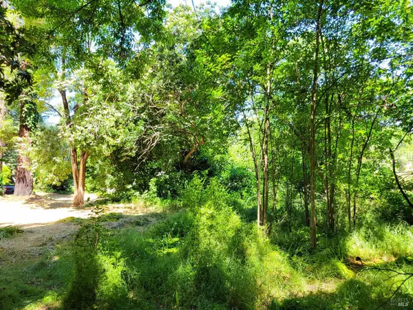 Ukiah, CA 95482,0 N School ST