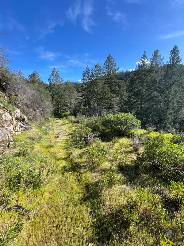 Calistoga, CA 94515,1635 Diamond Mountain RD