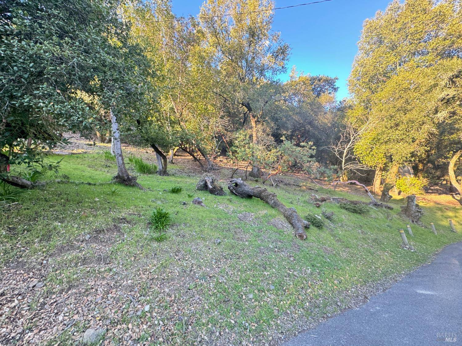 2049 Madrone AVE, Healdsburg, CA 95448