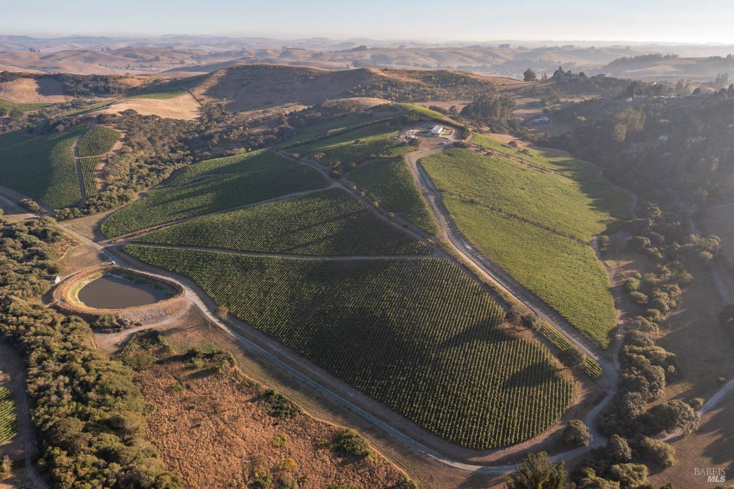 Sebastopol, CA 95472,3545 Bloomfield RD