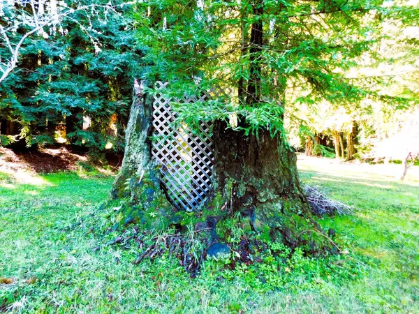 Guerneville, CA 95446,15900 Drake RD