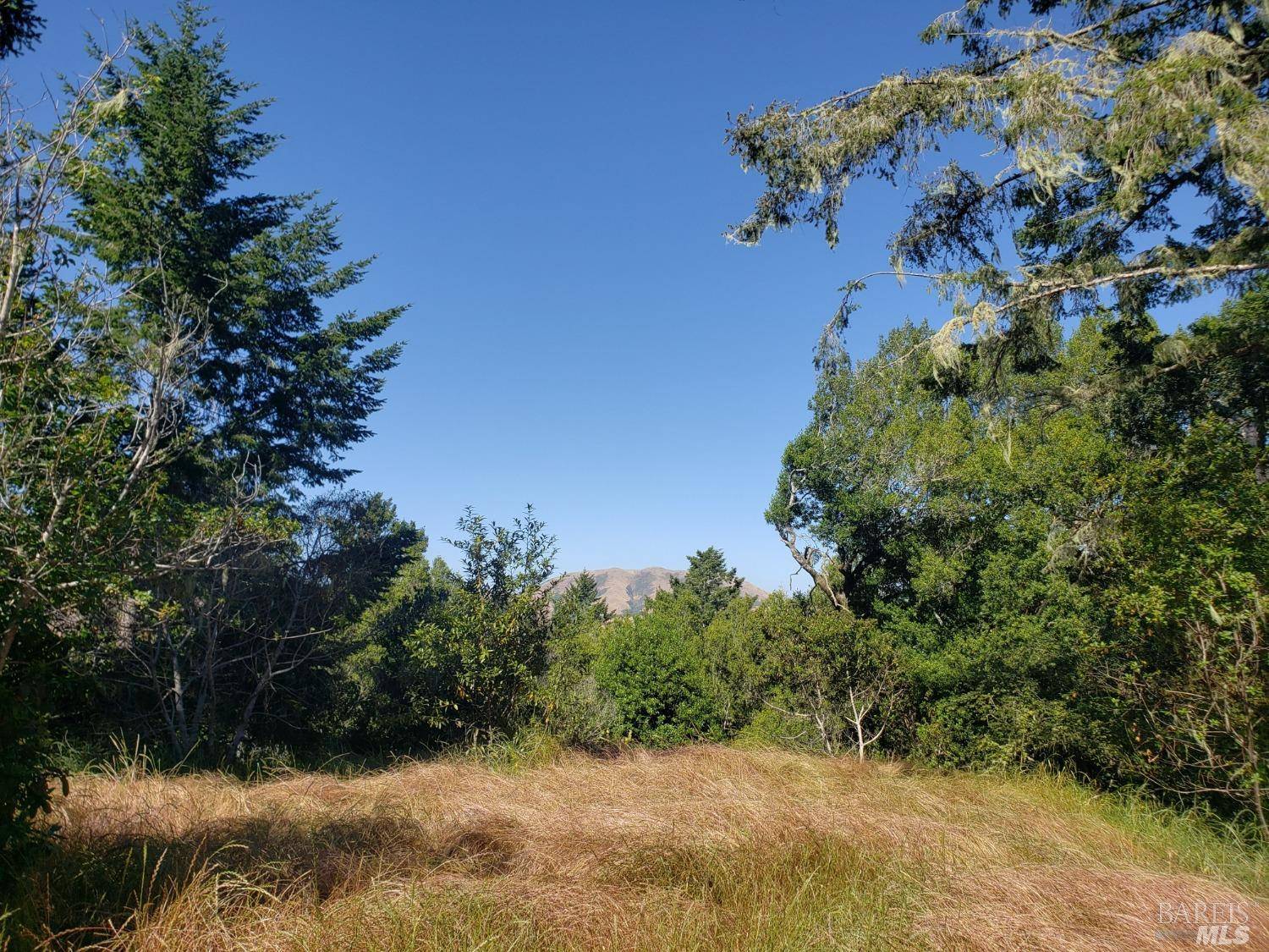 Inverness, CA 94956,70 Fox DR