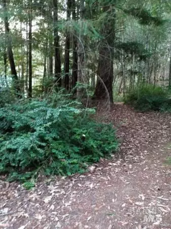 Willits, CA 95490,2170 Poppy LN