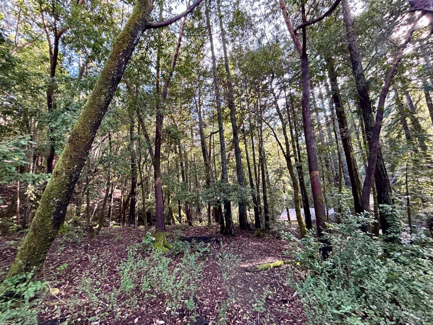 Guerneville, CA 95446,16167 Fern WAY