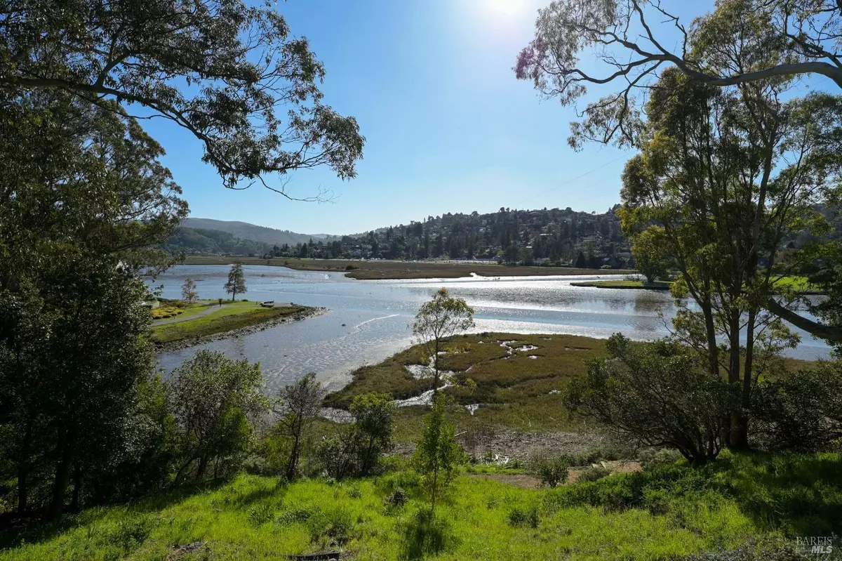 Mill Valley, CA 94941,80 Eucalyptus Knoll ST