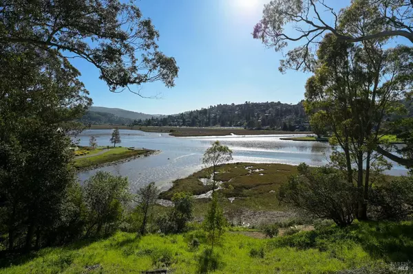 80 Eucalyptus Knoll ST, Mill Valley, CA 94941