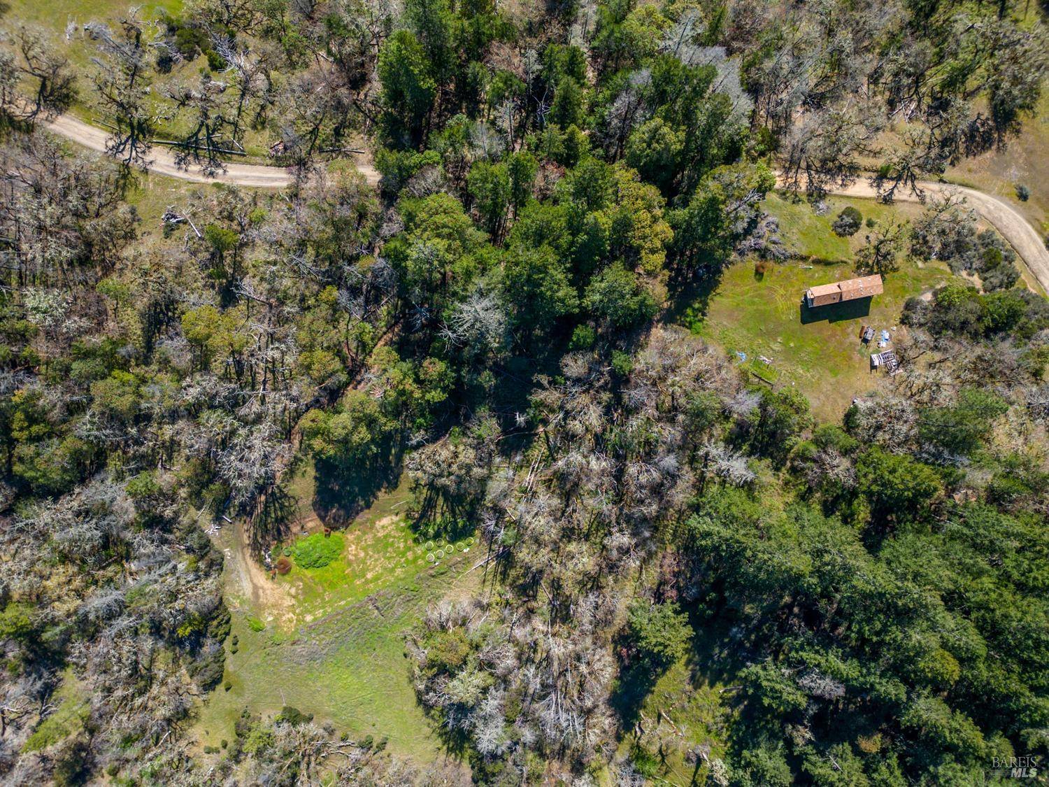 Willits, CA 95490,3564 Chinquapin DR