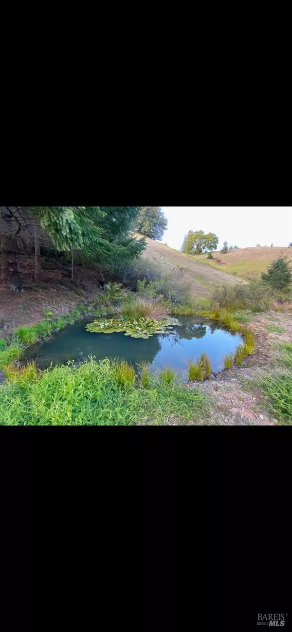 Garberville, CA 95542,1701 Etter Ranch RD