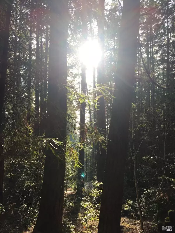 The Sea Ranch, CA 95497,335 Deerfield