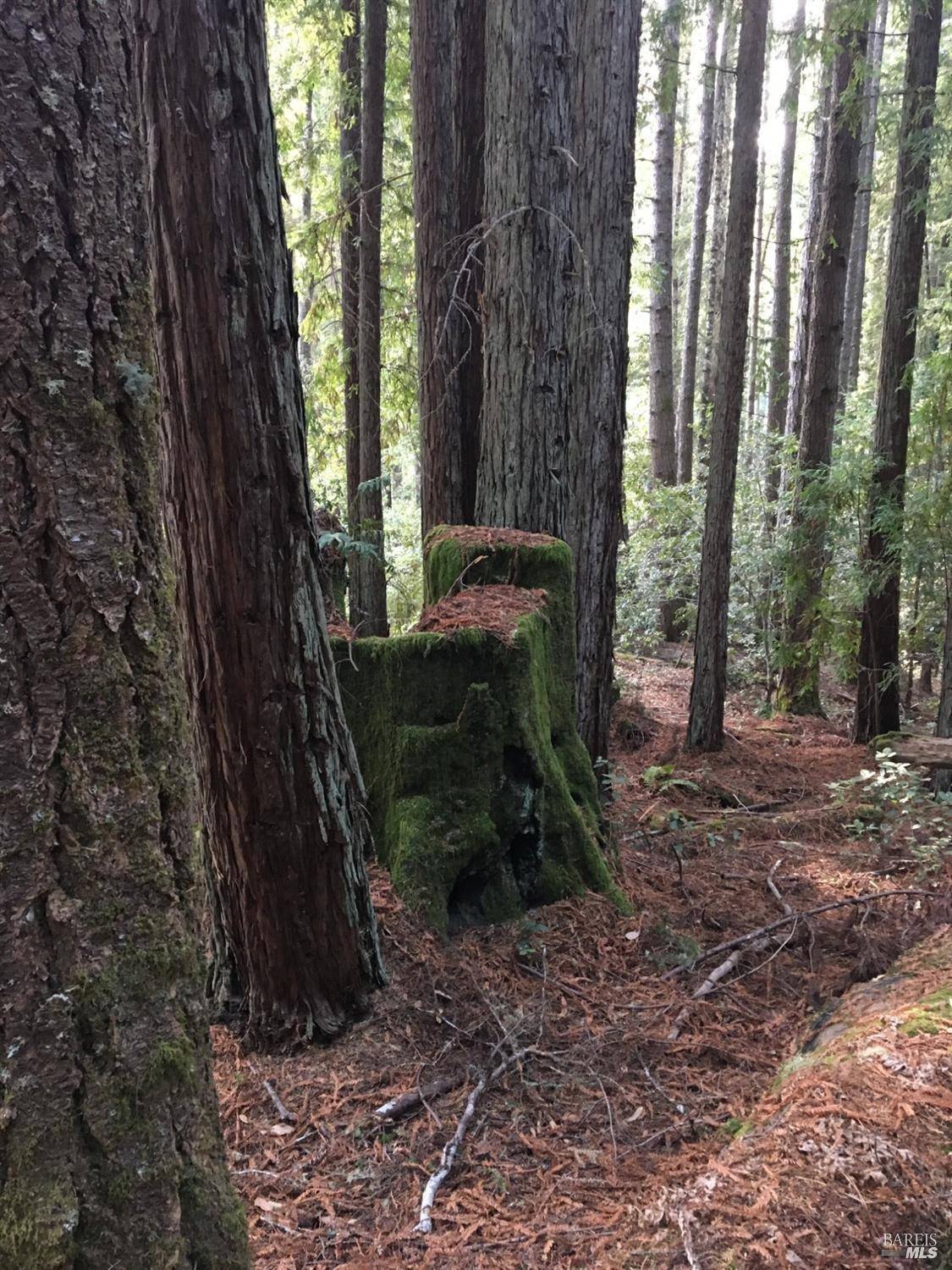 The Sea Ranch, CA 95497,335 Deerfield