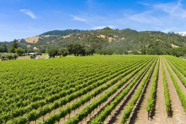 Cloverdale, CA 95425,31280 Highway 128