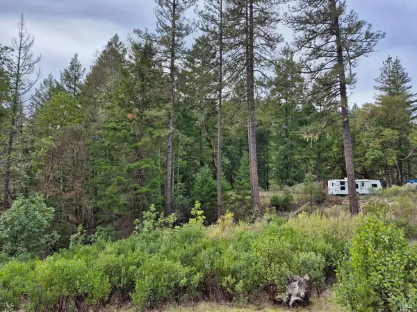 Willits, CA 95490,5376 Wild Iris LN