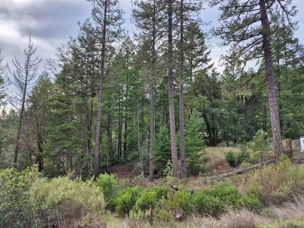 Willits, CA 95490,5376 Wild Iris LN