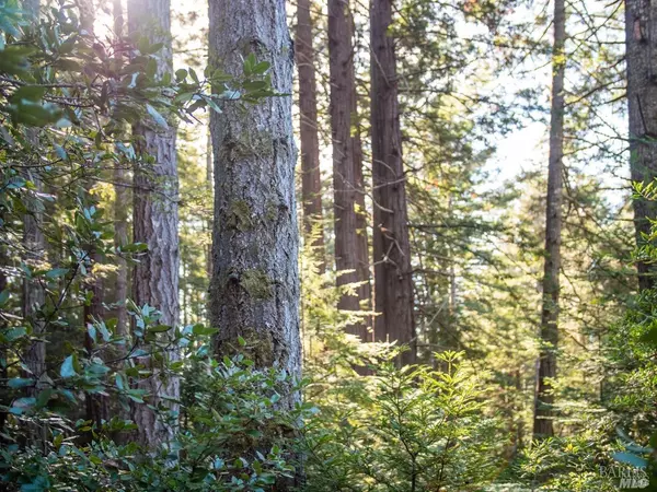 46990 Getchell Gulch RD, Gualala, CA 95445