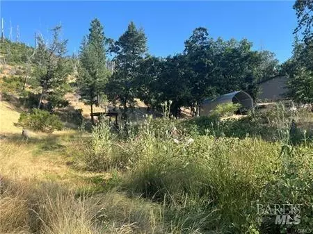 Cobb, CA 95426,14533 Snead DR