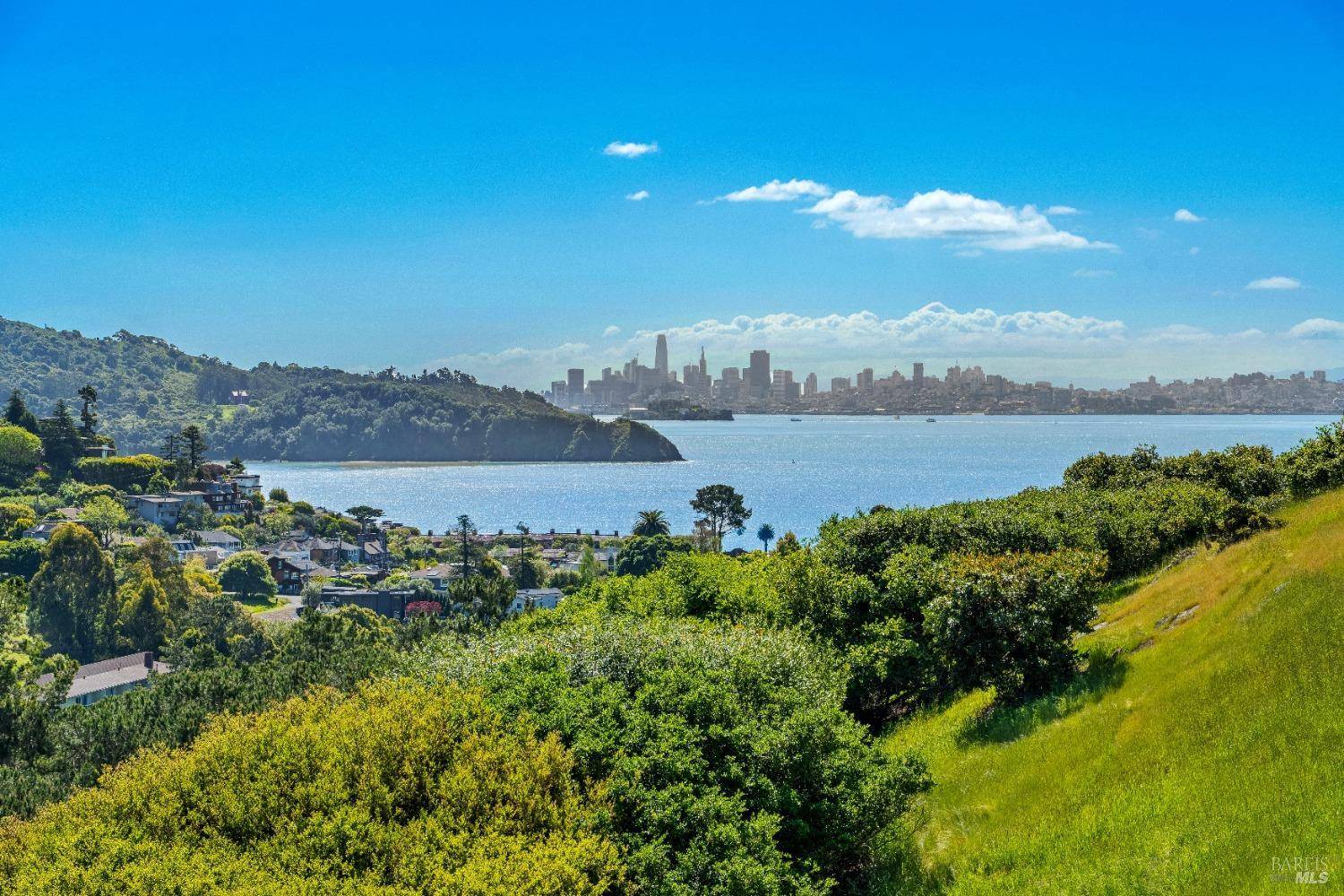 Tiburon, CA 94920,121 Red Hill CIR