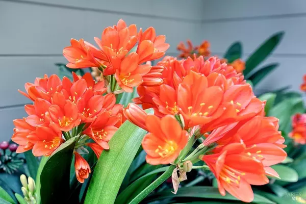 San Rafael, CA 94901,22 Broadview DR