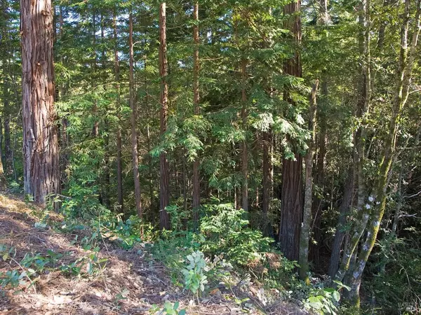 Gualala, CA 95445,46109 Fish Rock RD