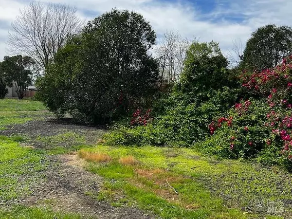 American Canyon, CA 94503,0 Eucalyptus DR