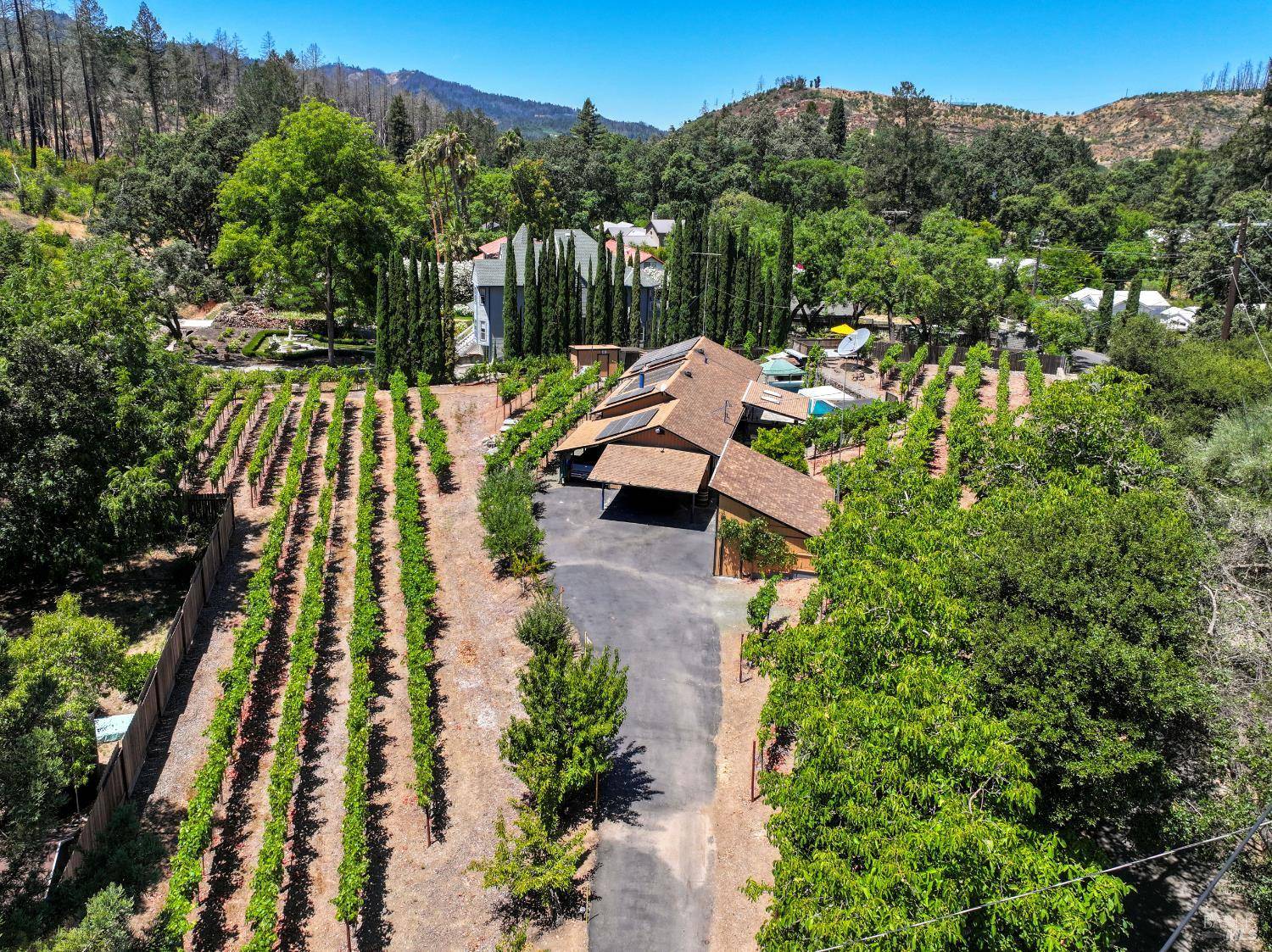 455 Glass Mountain RD, St. Helena, CA 94574