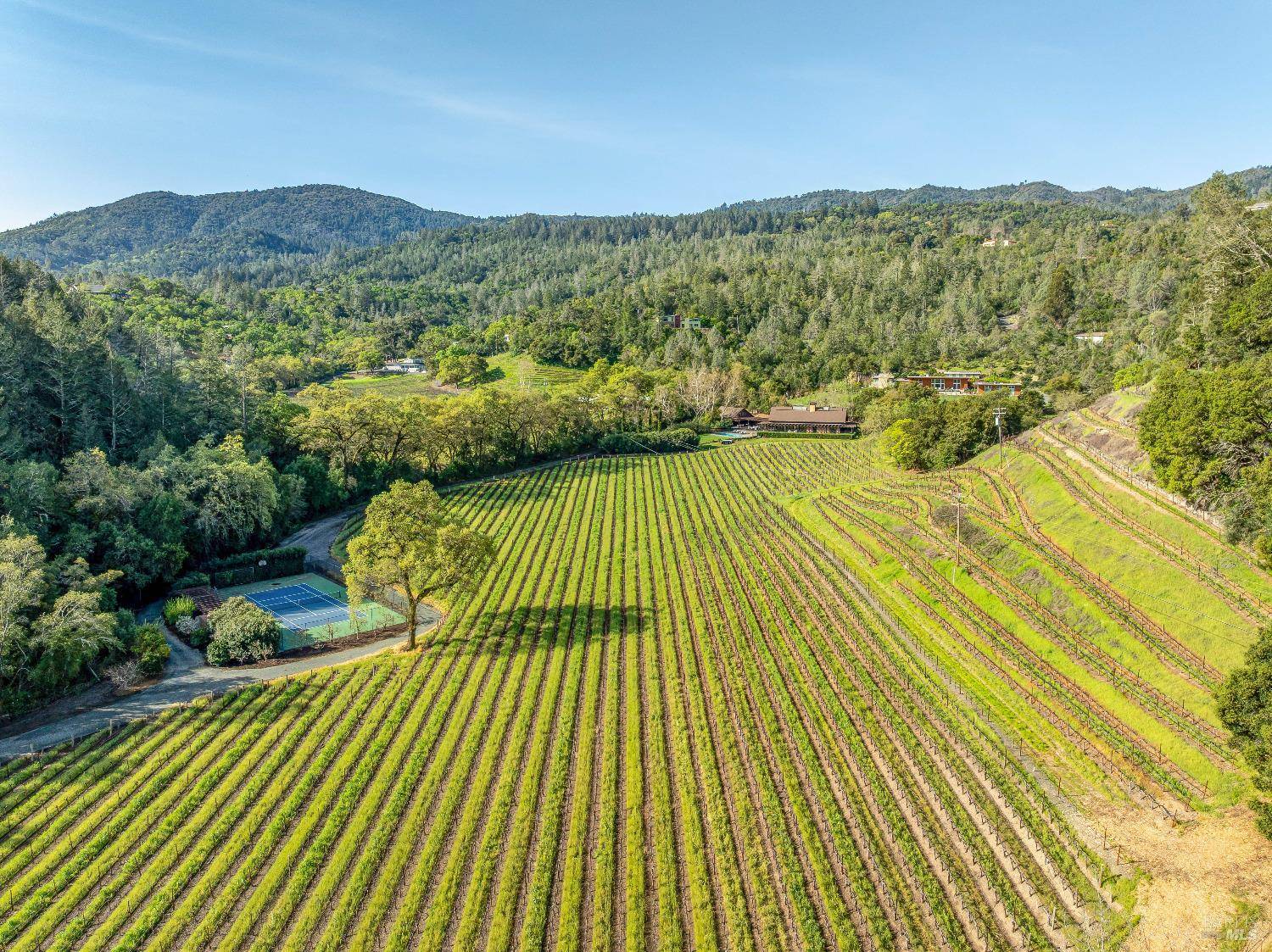 St. Helena, CA 94574,1626 Whitehall LN