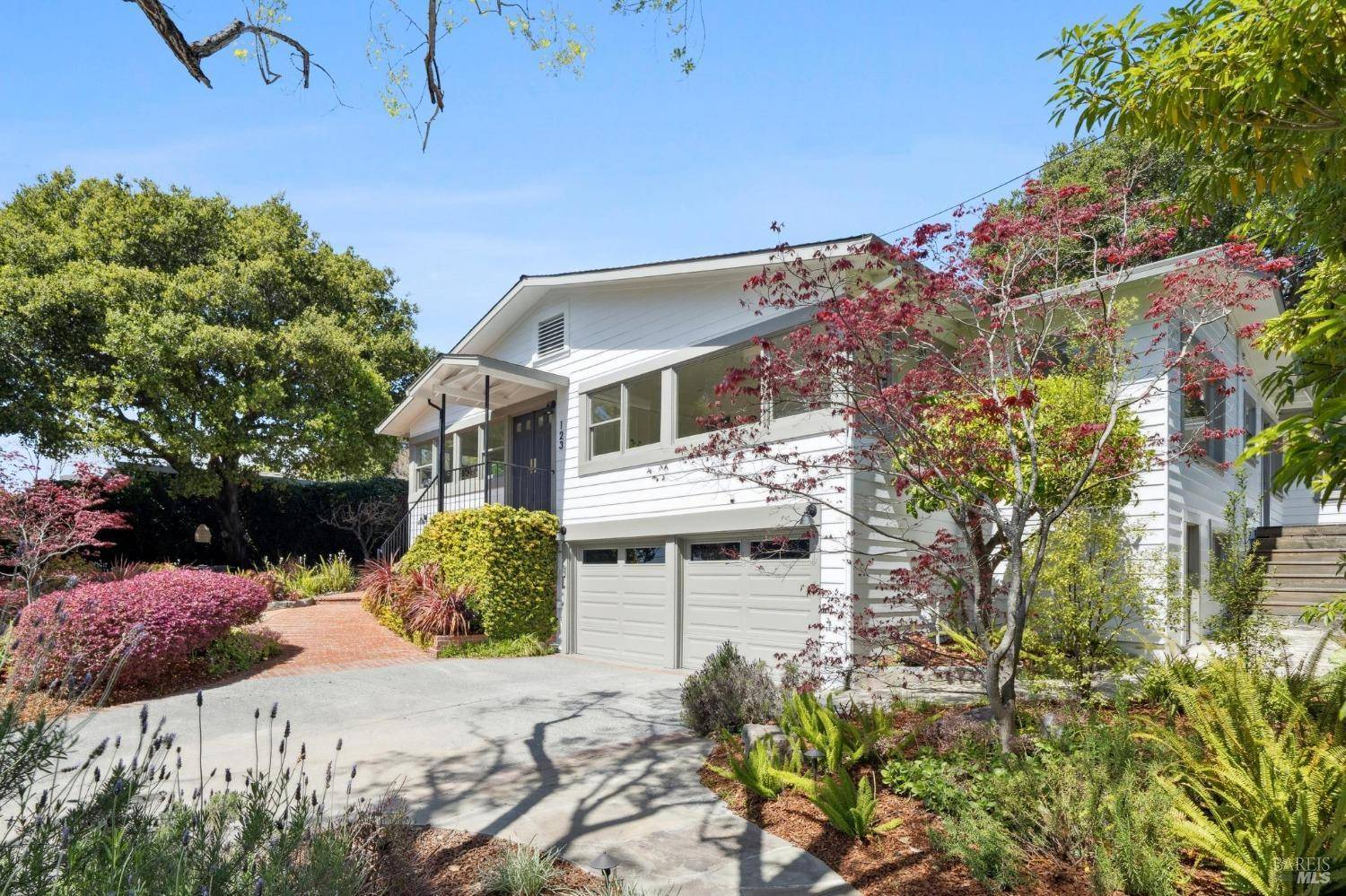 123 Oak DR, San Rafael, CA 94901