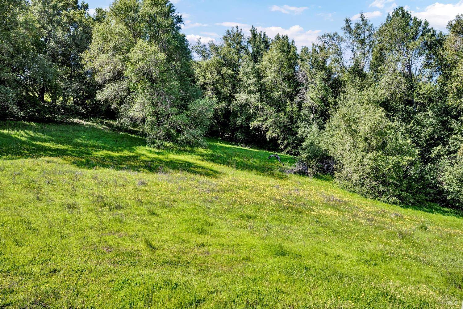 Petaluma, CA 94952,0 Deer Creek LN