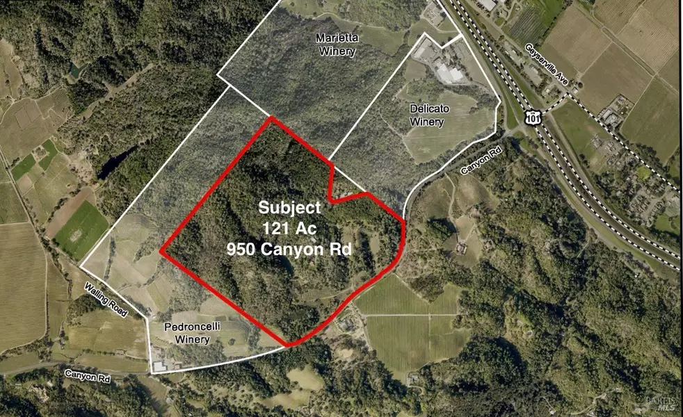 950 Canyon RD, Geyserville, CA 95441