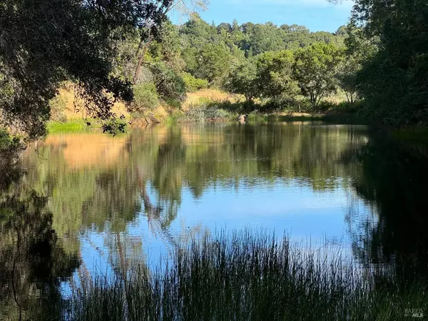 Geyserville, CA 95441,950 Canyon RD