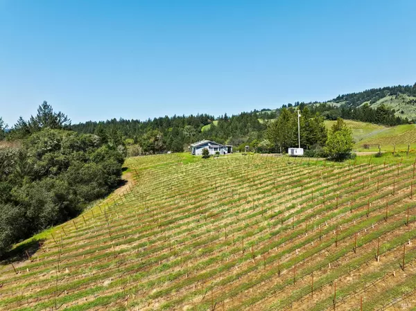 Philo, CA 95466,1550 Guntley RD