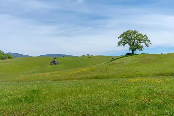 Hopland, CA 95449,14495 Old River RD