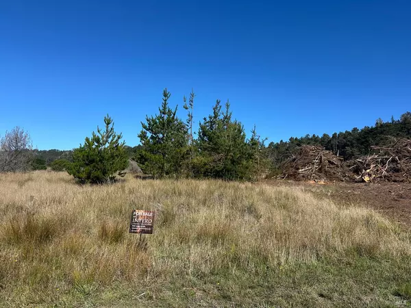 The Sea Ranch, CA 95497,135 Shepherds Close