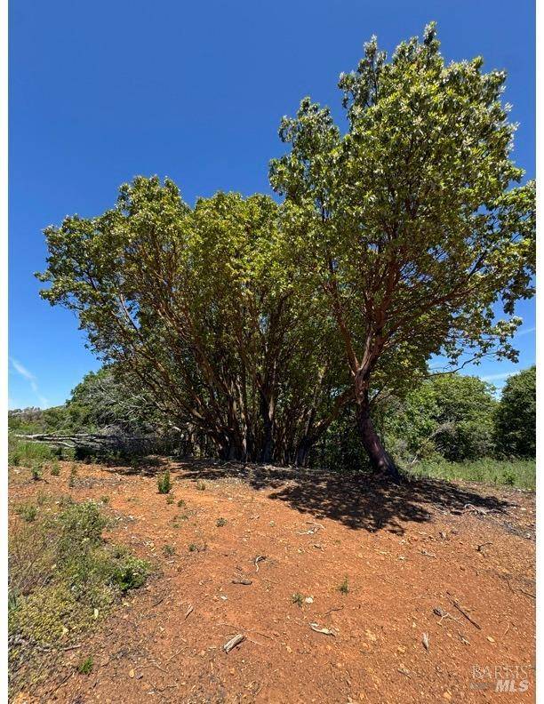 Cloverdale, CA 95425,35150 Pine Mountain RD