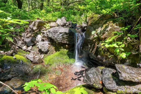 Sonoma, CA 95476,2800 High Grove LN