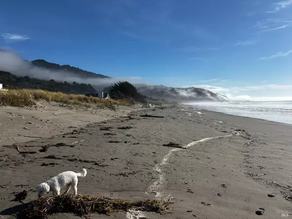13 Walla VIS, Stinson Beach, CA 94970