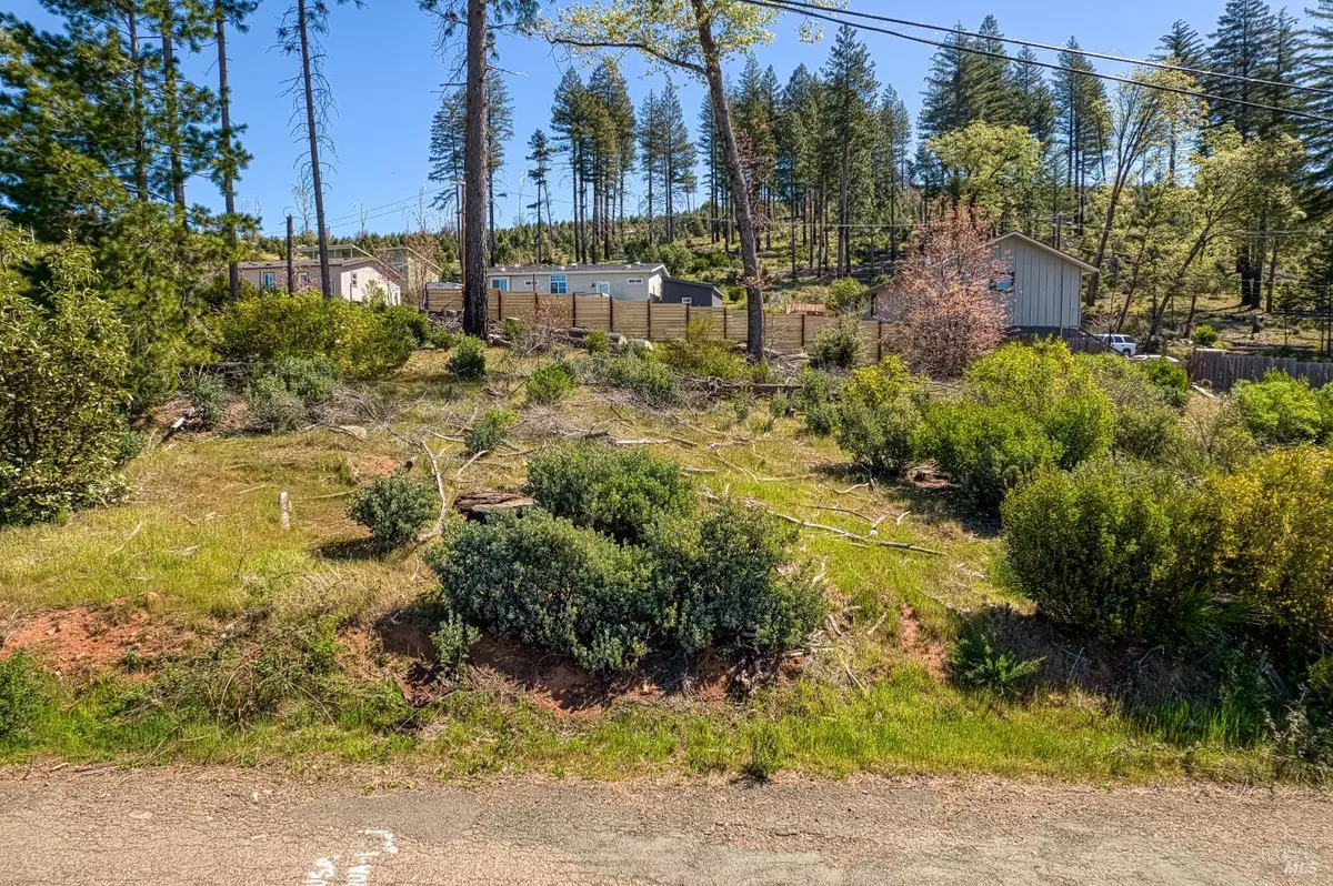 Cobb, CA 95426,14928 Quail DR