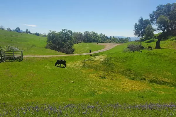 6998 Geysers RD, Geyserville, CA 95441