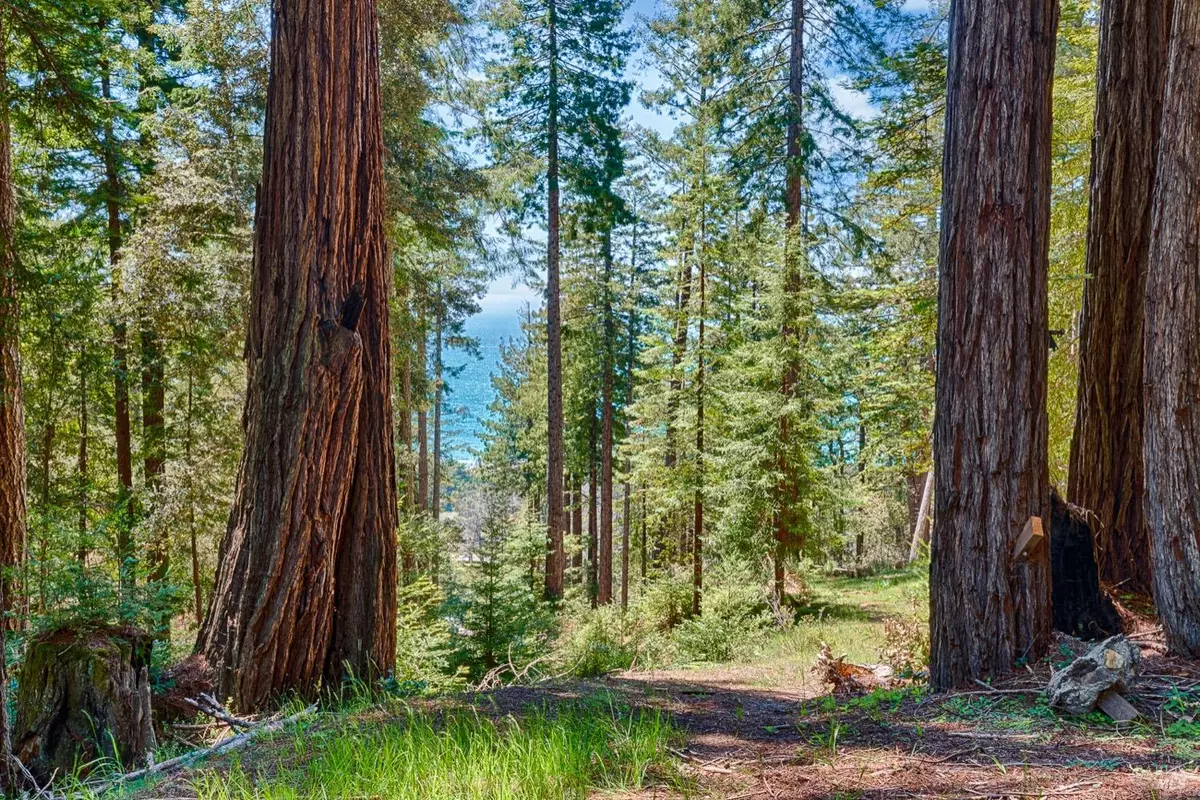 Jenner, CA 95450,22196 Umland CIR