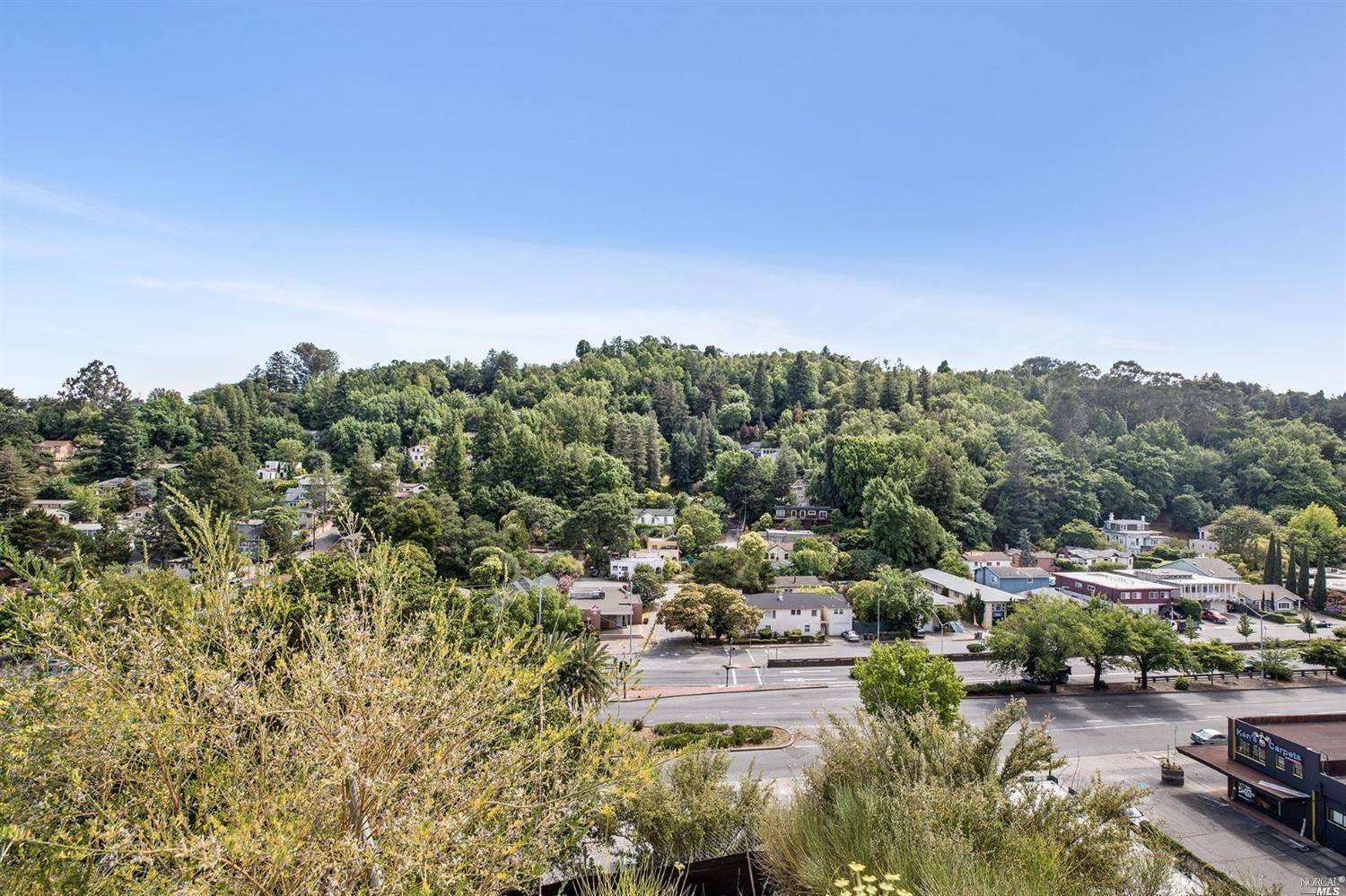 51 El Camino AVE, San Rafael, CA 94901