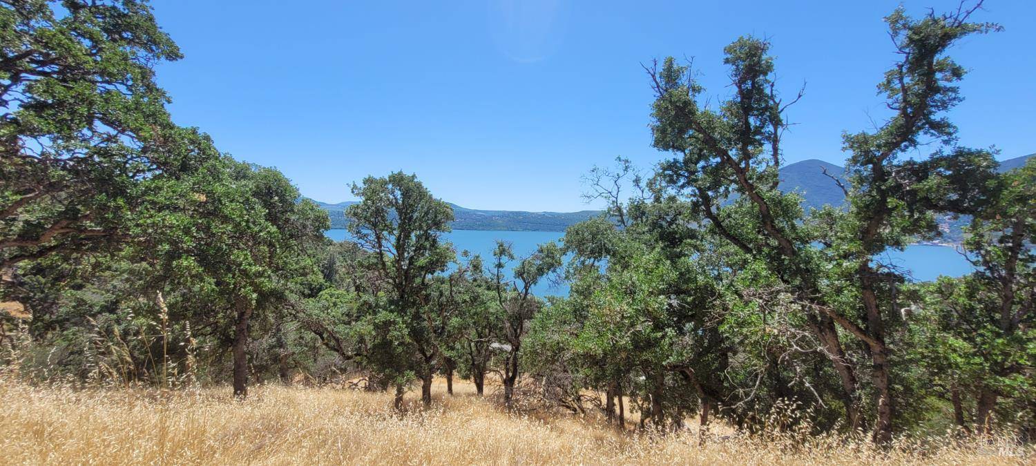 Clearlake, CA 95424,2288 Cove View DR