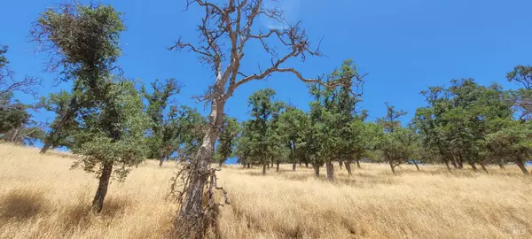 Clearlake, CA 95424,2288 Cove View DR