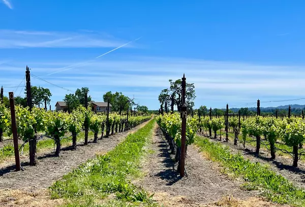 Santa Rosa, CA 95401,5726 Hall RD