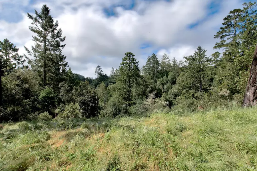0 Douglas DR, Inverness, CA 94937