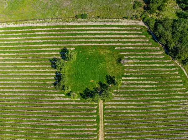 Santa Rosa, CA 95404,4560 Sonoma Mountain RD