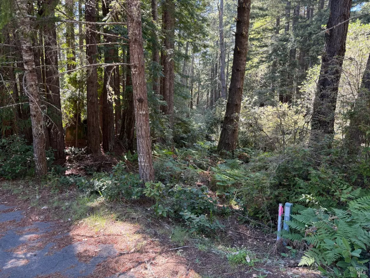 The Sea Ranch, CA 95497,369 Big Tree Close RD 27A13